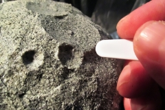 Asteroid in der Entsehungsphase